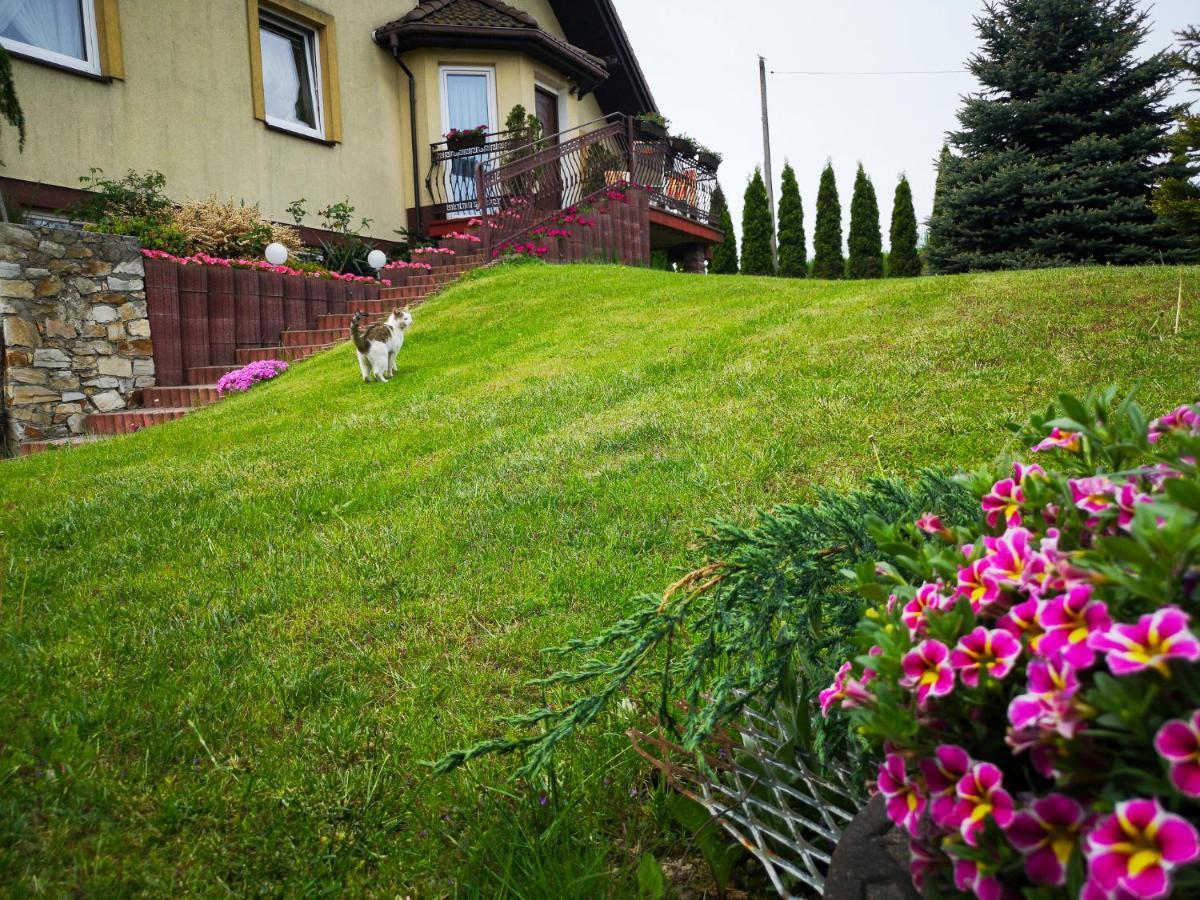 Swierkowy Zakatek Gorno  Bagian luar foto